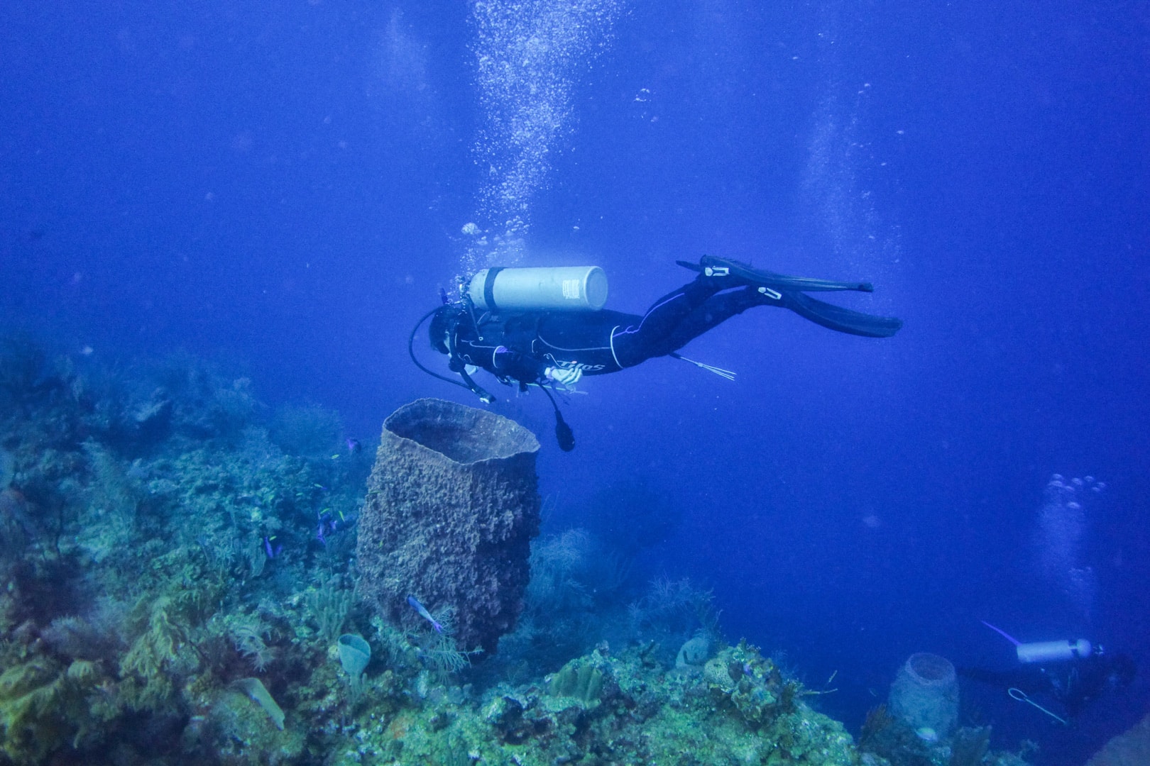 Diving_Lionfish_hunt-79_webopd